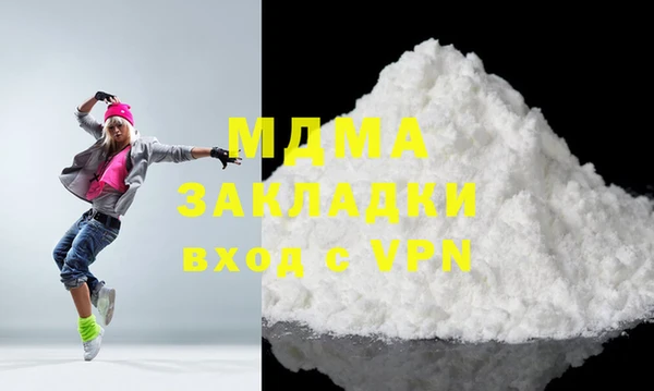 гашик Алексин