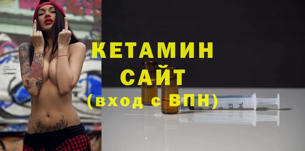 гашик Алексин