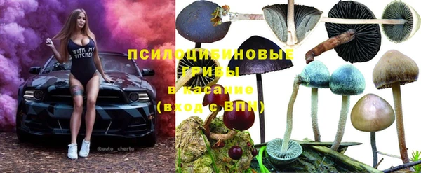 гашик Алексин