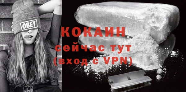 гашик Алексин