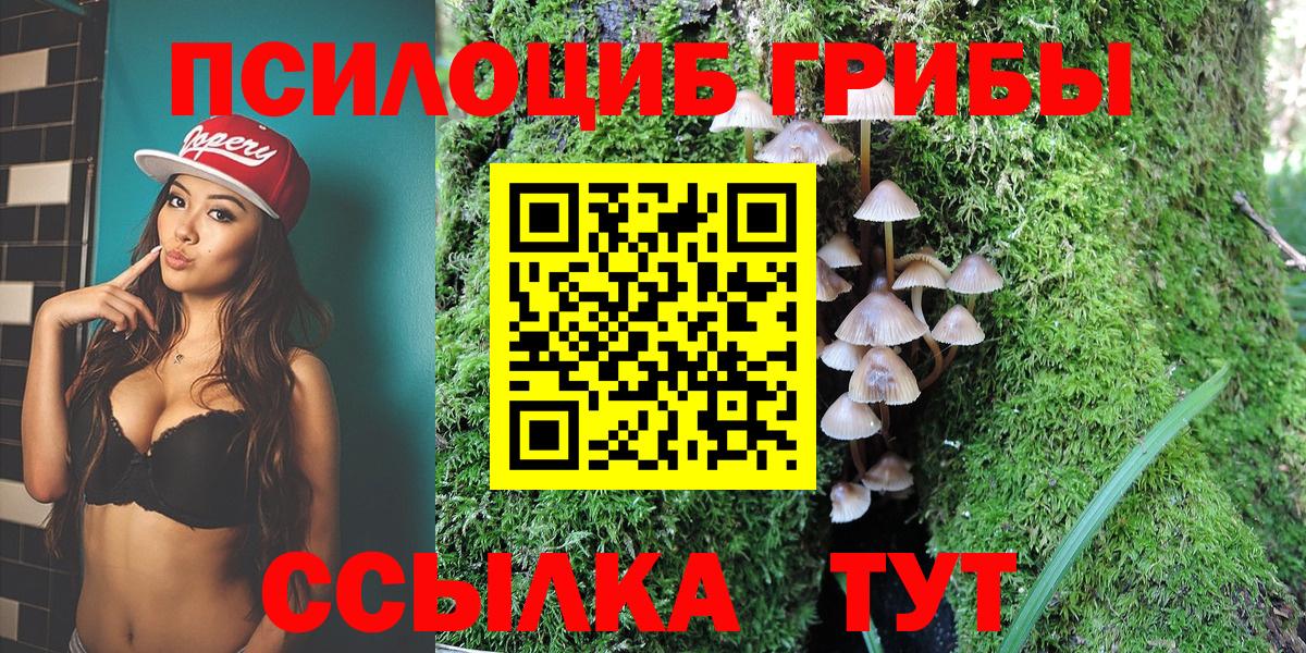 Пермь  купить  цена  Вход с VPN  Псилоцибиновые грибы MAGIC MUSHROOMS 