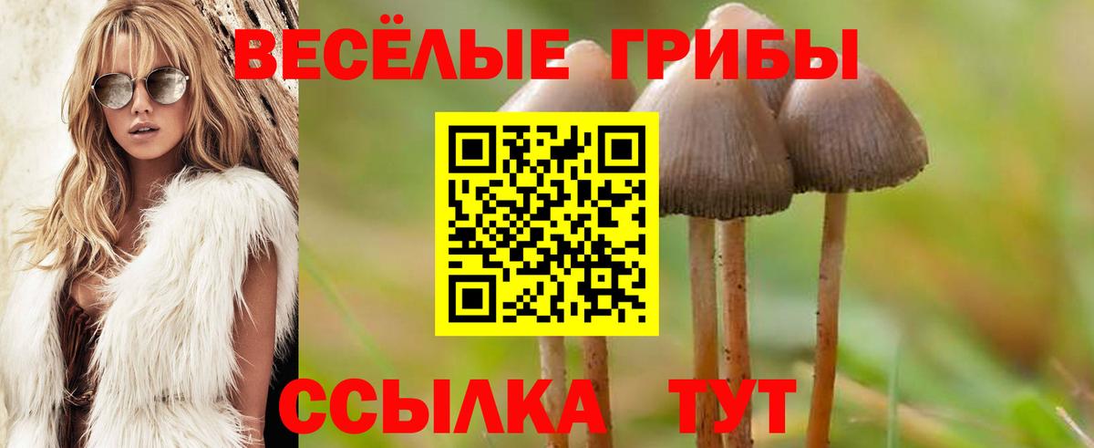 Галлюциногенные грибы прущие грибы Пермь